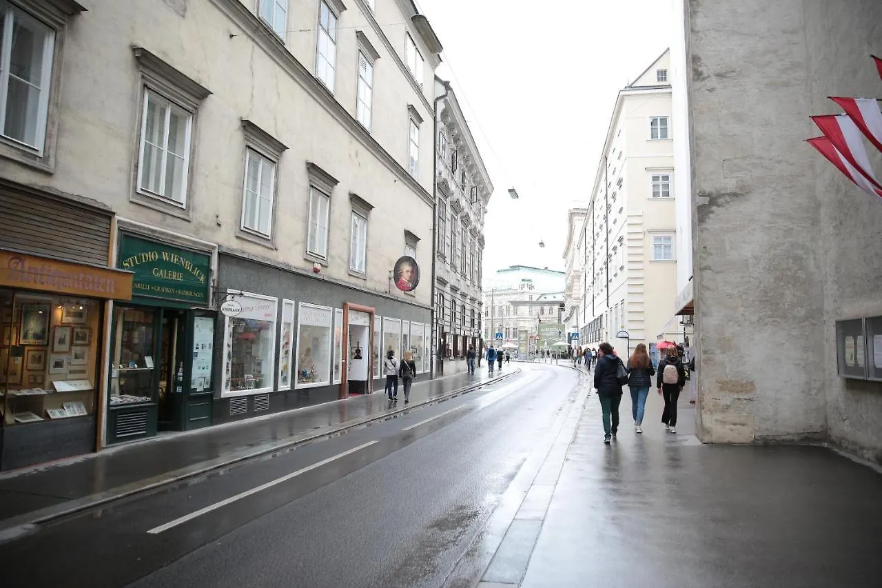 Heart Of Vienna- Next To Albertina location